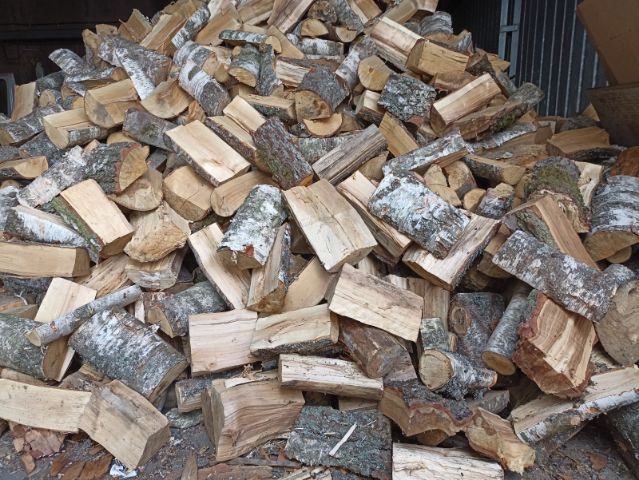 Drewno kominkowe