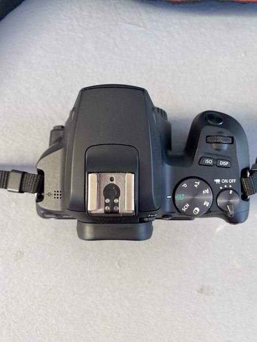 Canon EOS 250D + EF 50mm Stm