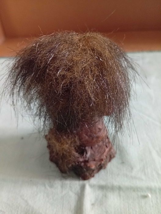 Troll vintage (criatura mítica do folclore escandinavo)