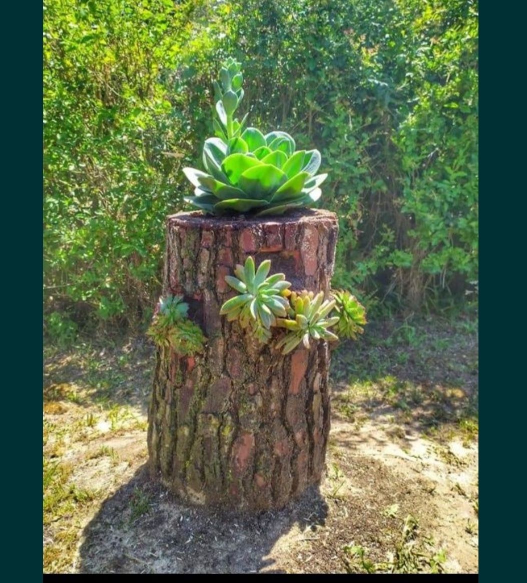 Limpeza de terrenos - Jardinagem