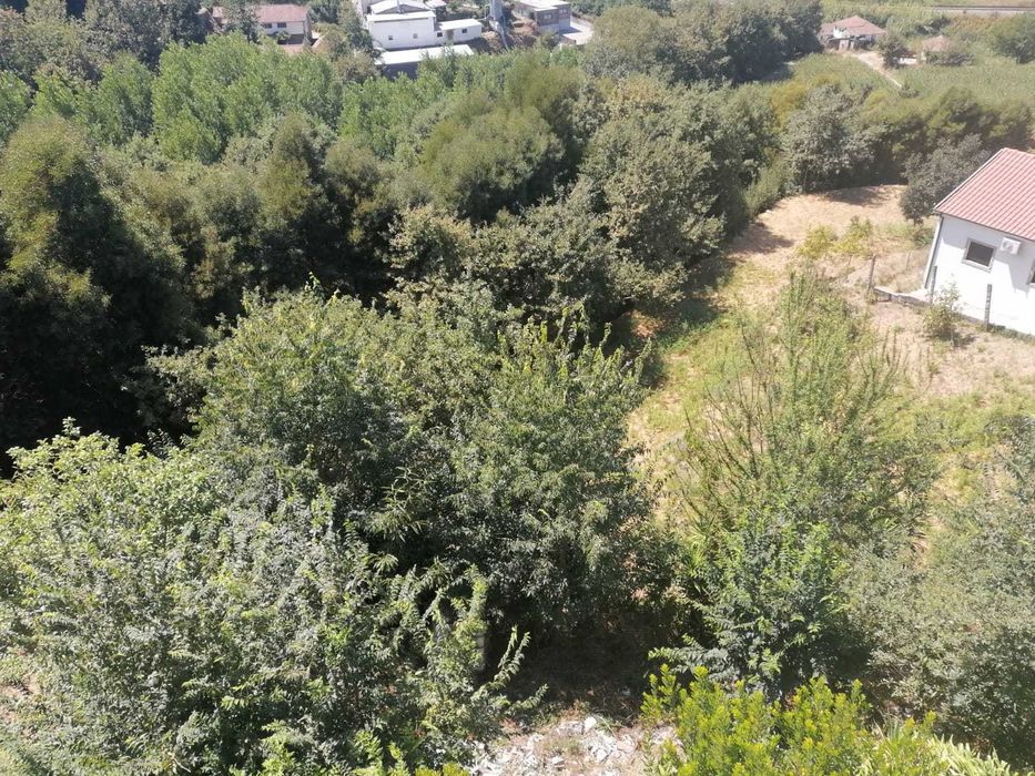 Terreno em Penafiel, Bustelo