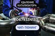 Удалить Катализатор Сажевый Чип Тюнинг Евро2 AdBlue Check DPF ЕГР