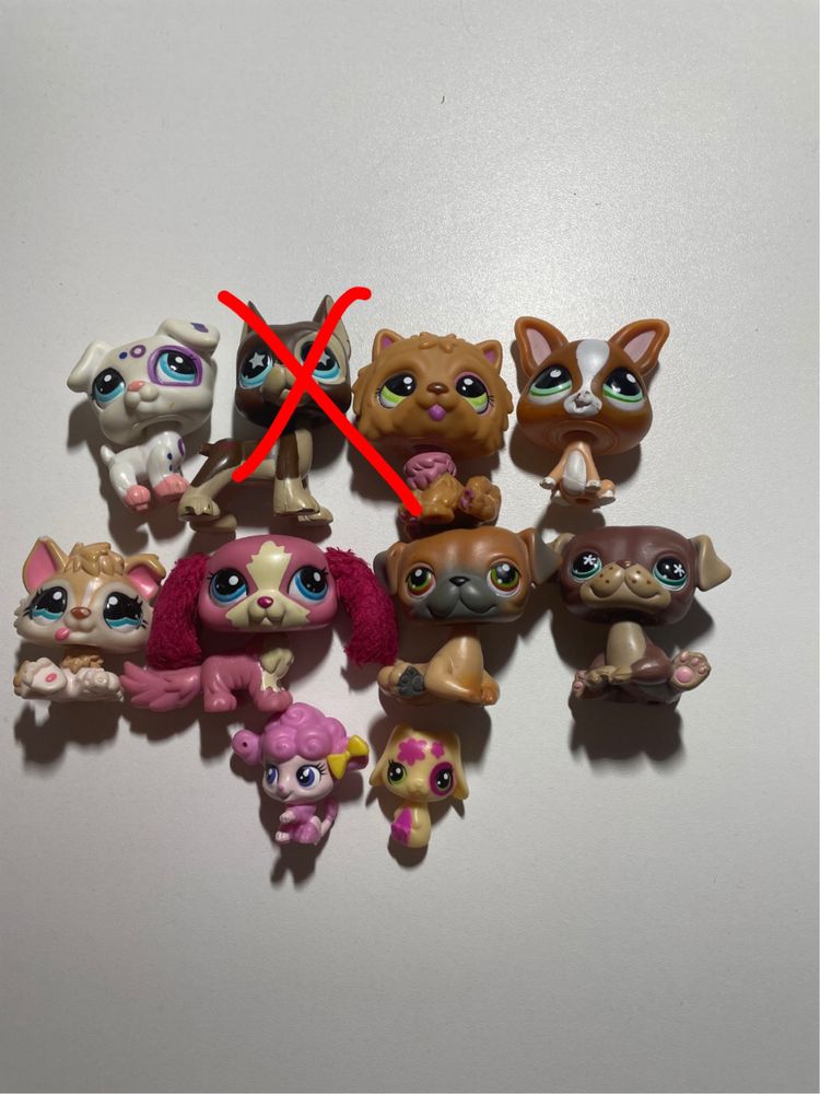 Littlest PetShop PSY