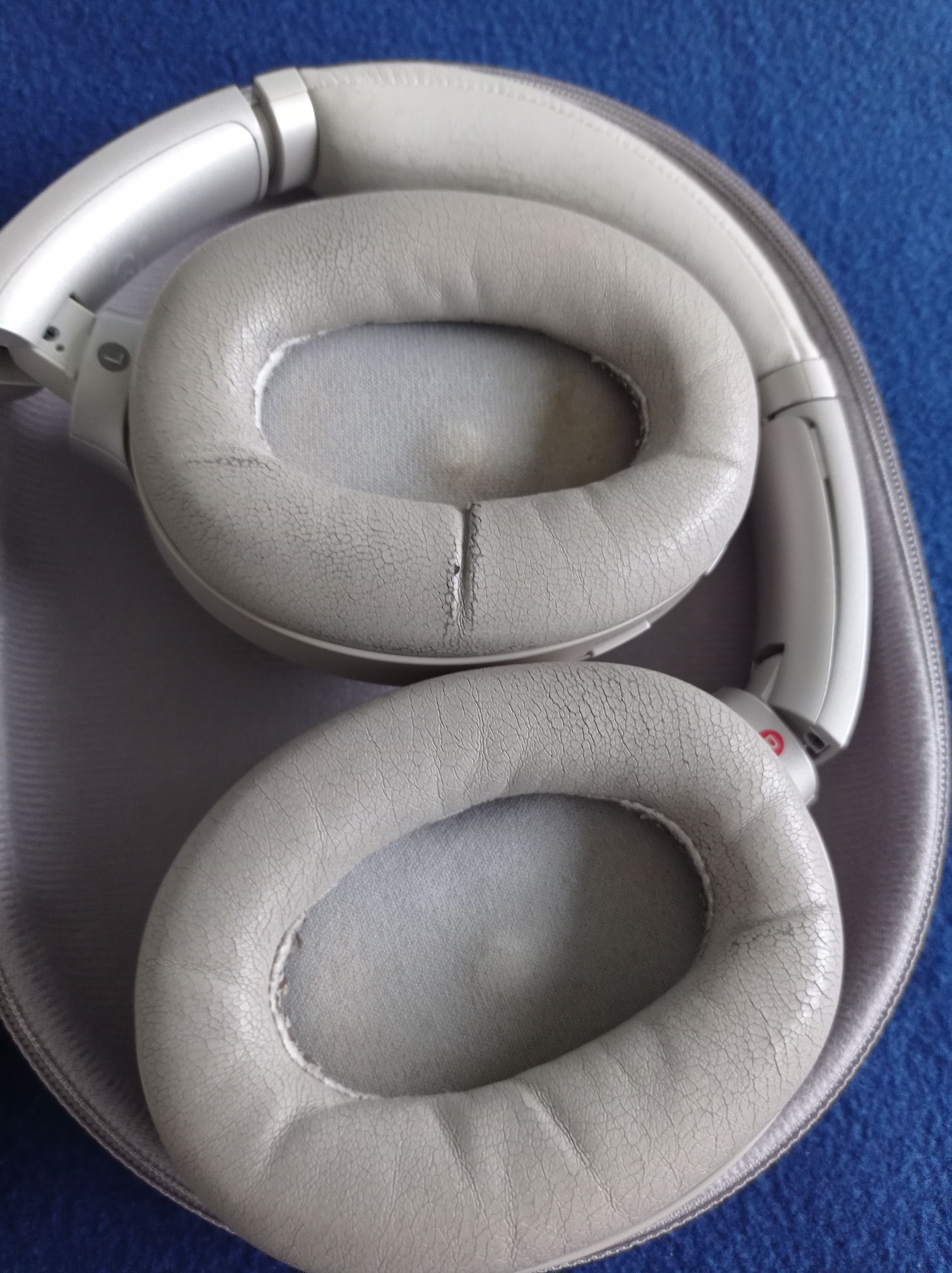 Sony WX1000 Earphones