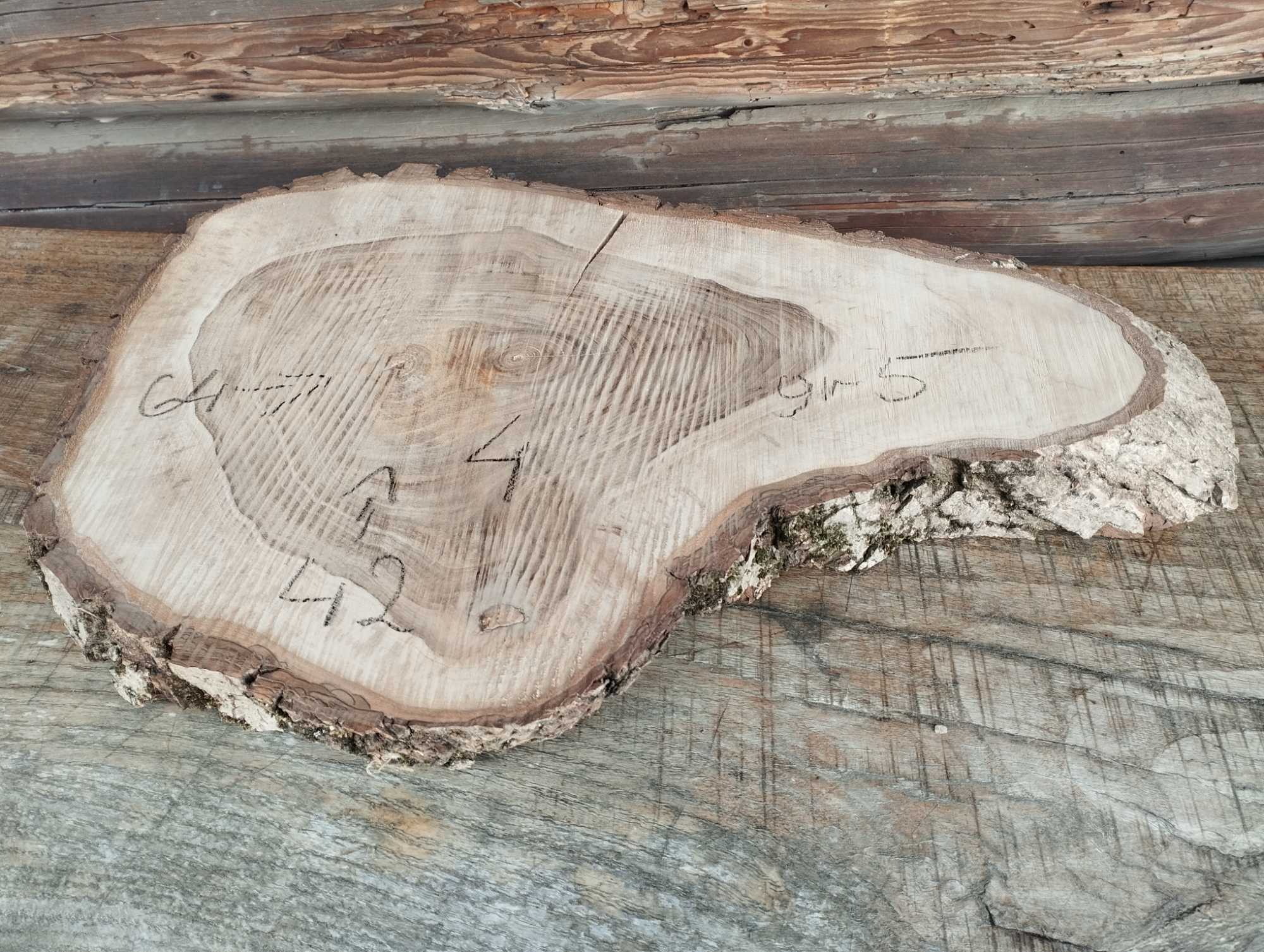 Plaster drewna duży Korzeń Piękny Solidny Orzech DIY Wybór sztuki HIT