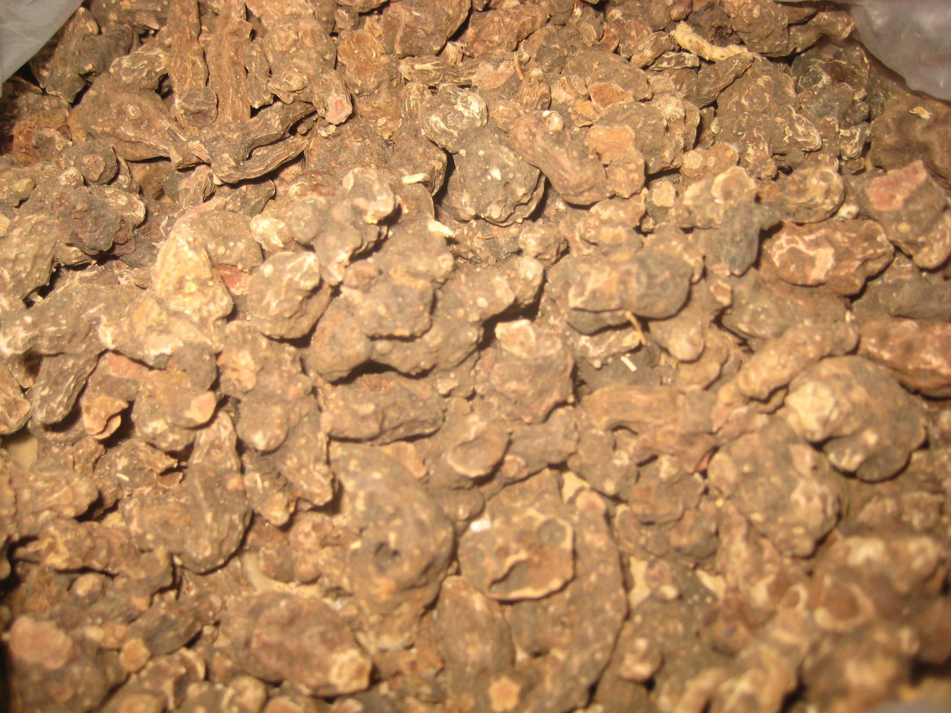 Продам корень калгана (сухой) лучшего качество.