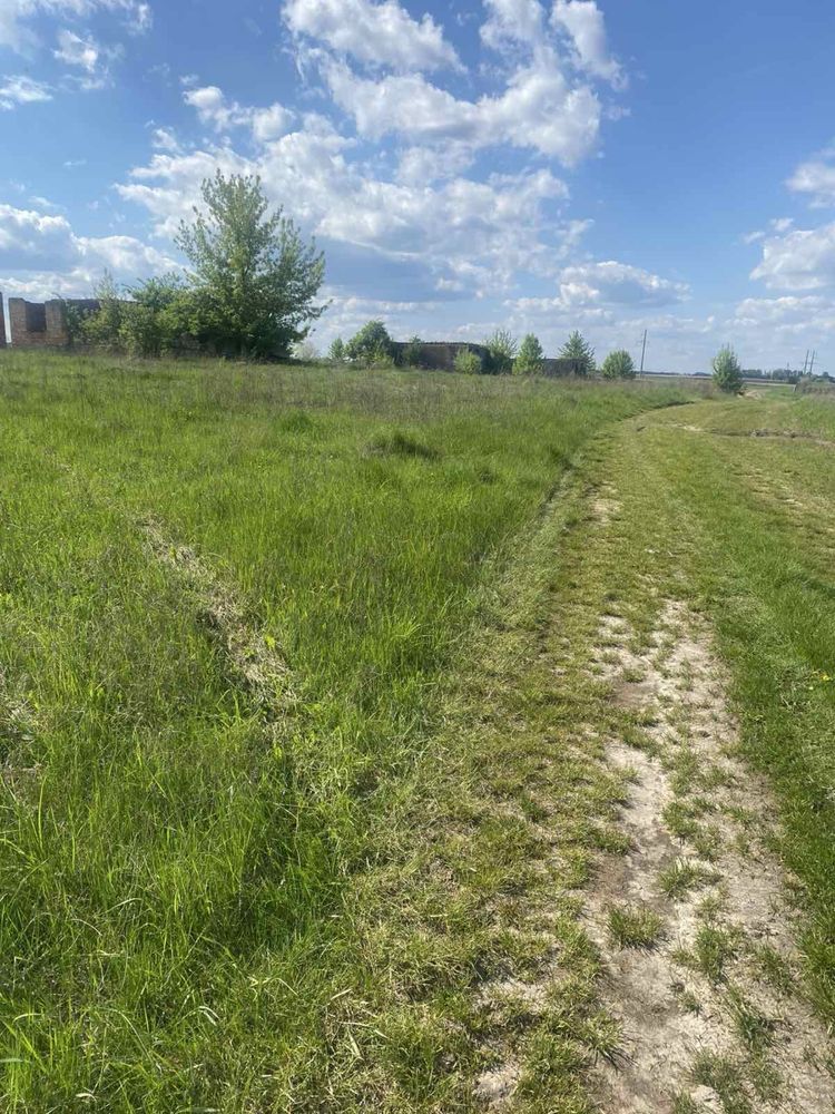 Участок 47 соток Містечко Брусиловський район Житомирська