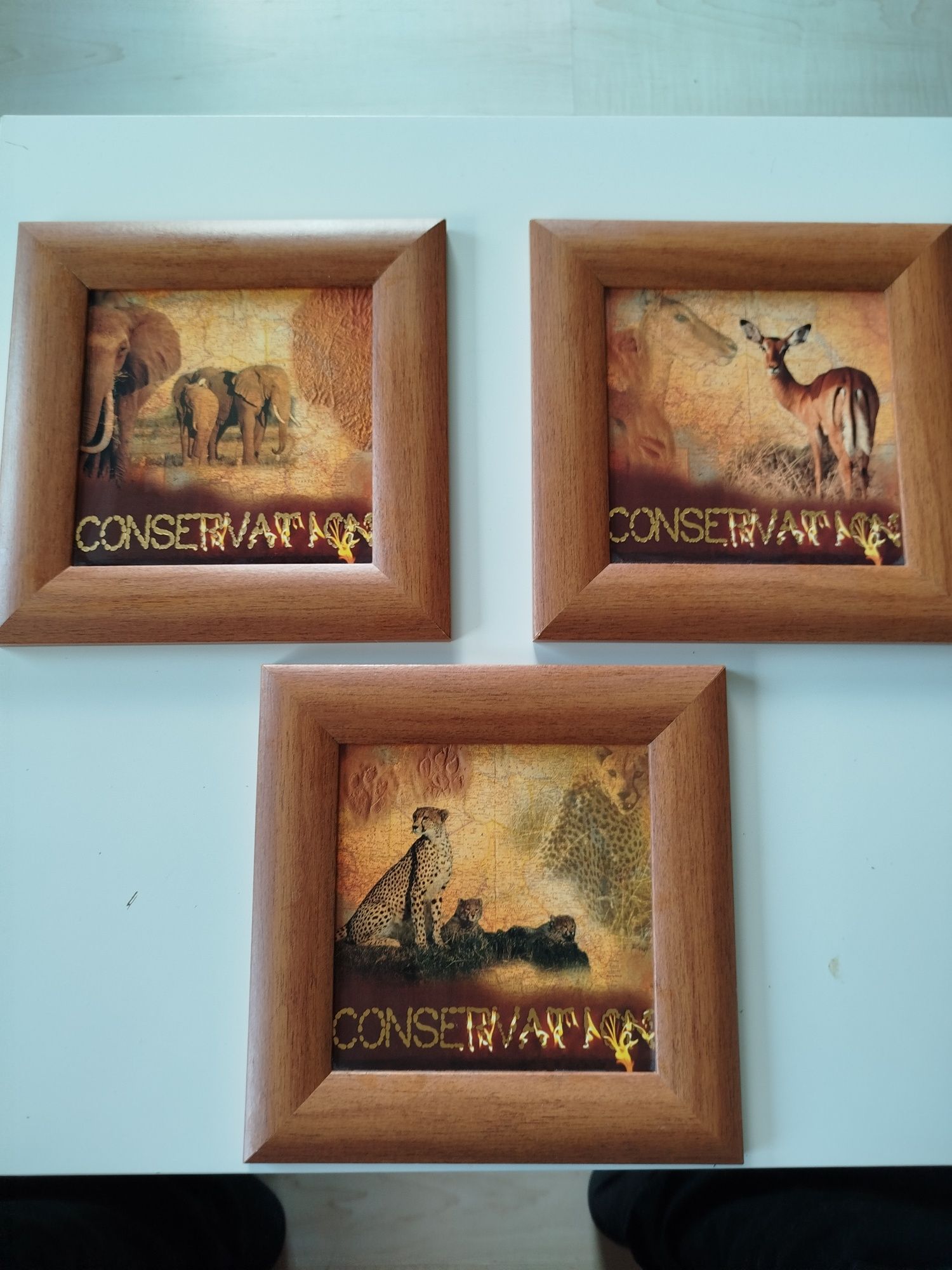 3 obrazki ozdobne 23x23 cm