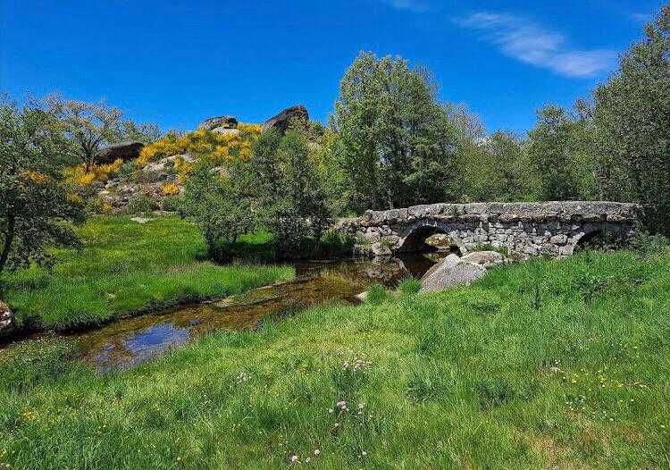 Passeio a cavalo com degustação de vinho