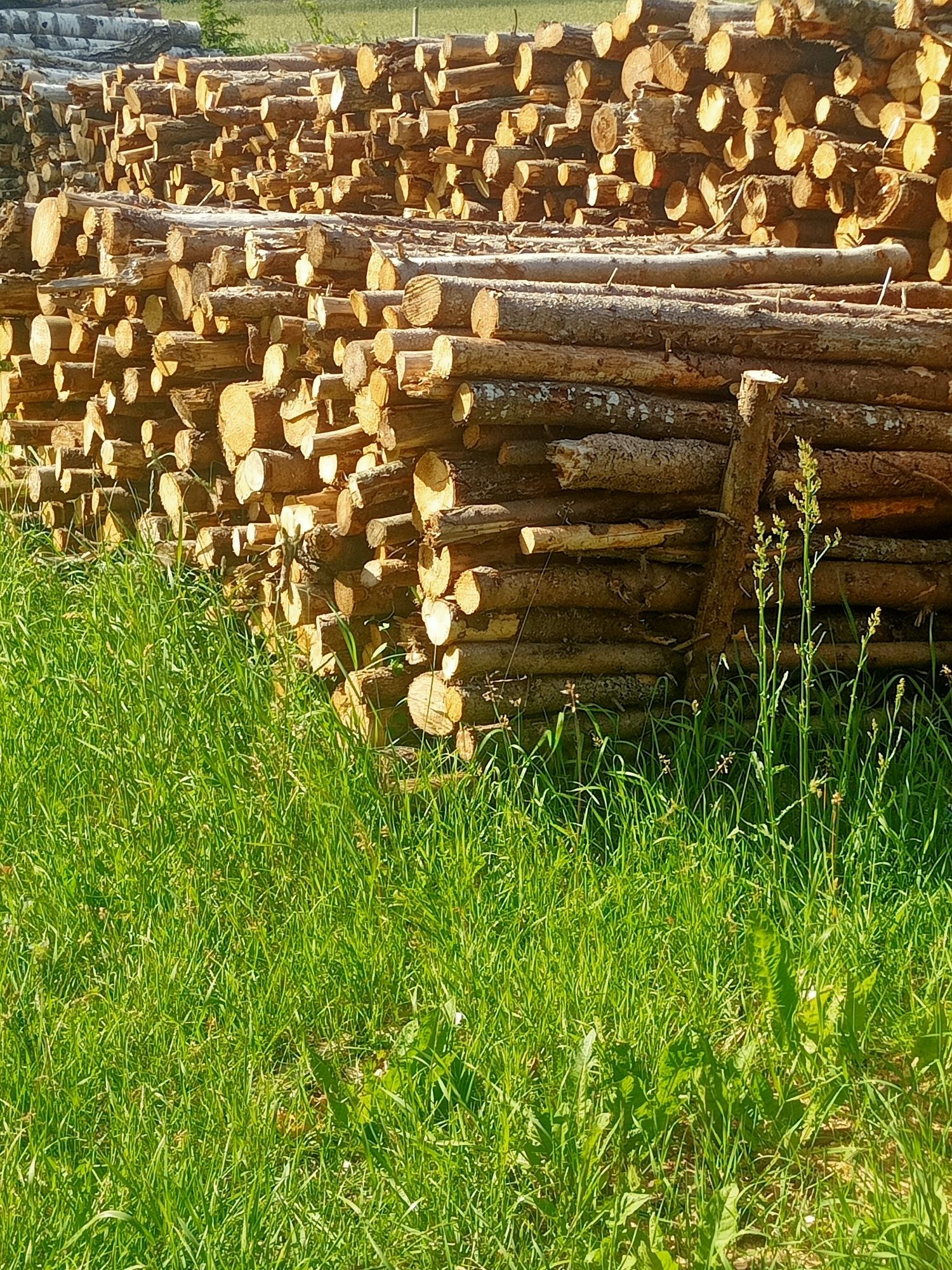 Sprzedam Dobry Suchy Opał.