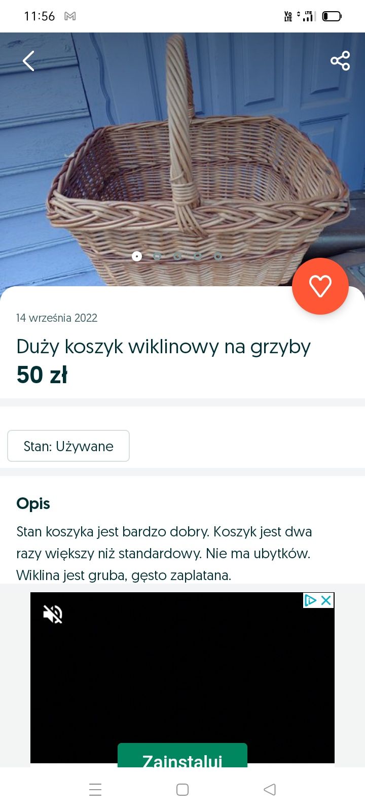 Niewierni Nielegalni Severski zestae