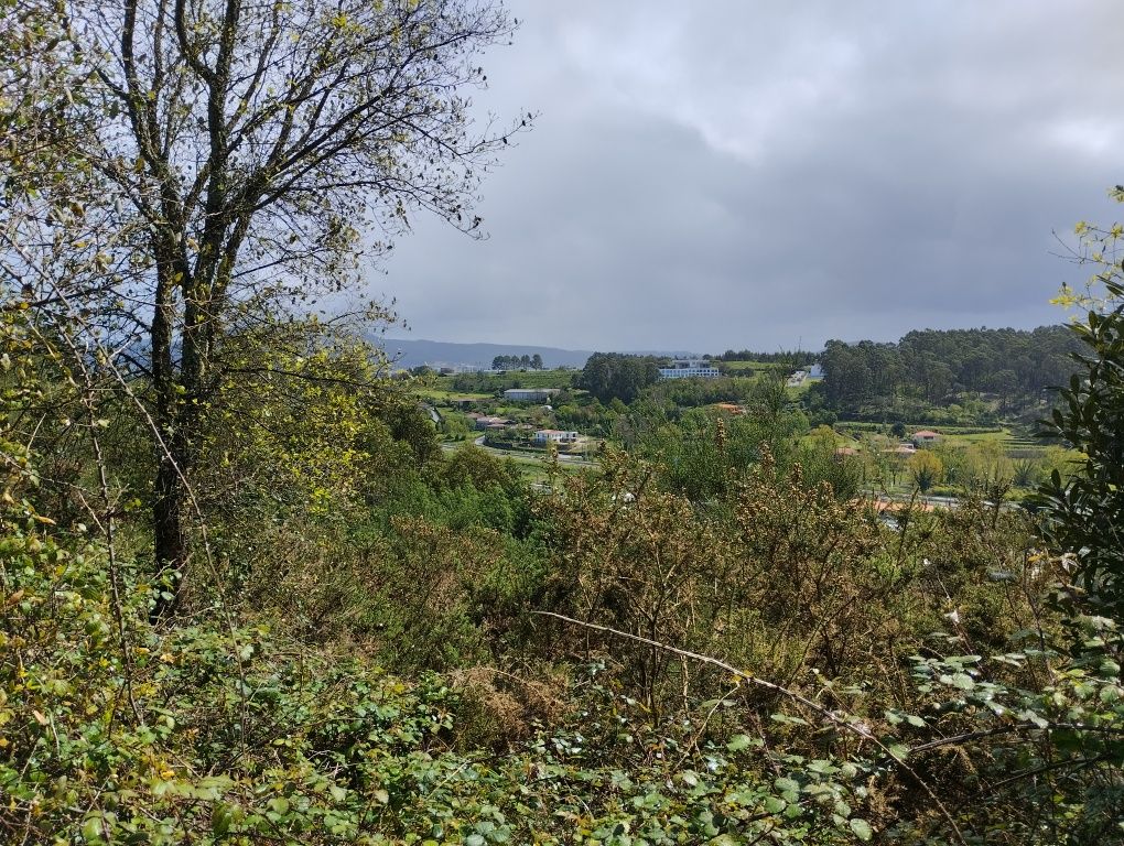 Vendo ou permuto terreno com 5 hectares em Sequeira (Braga)