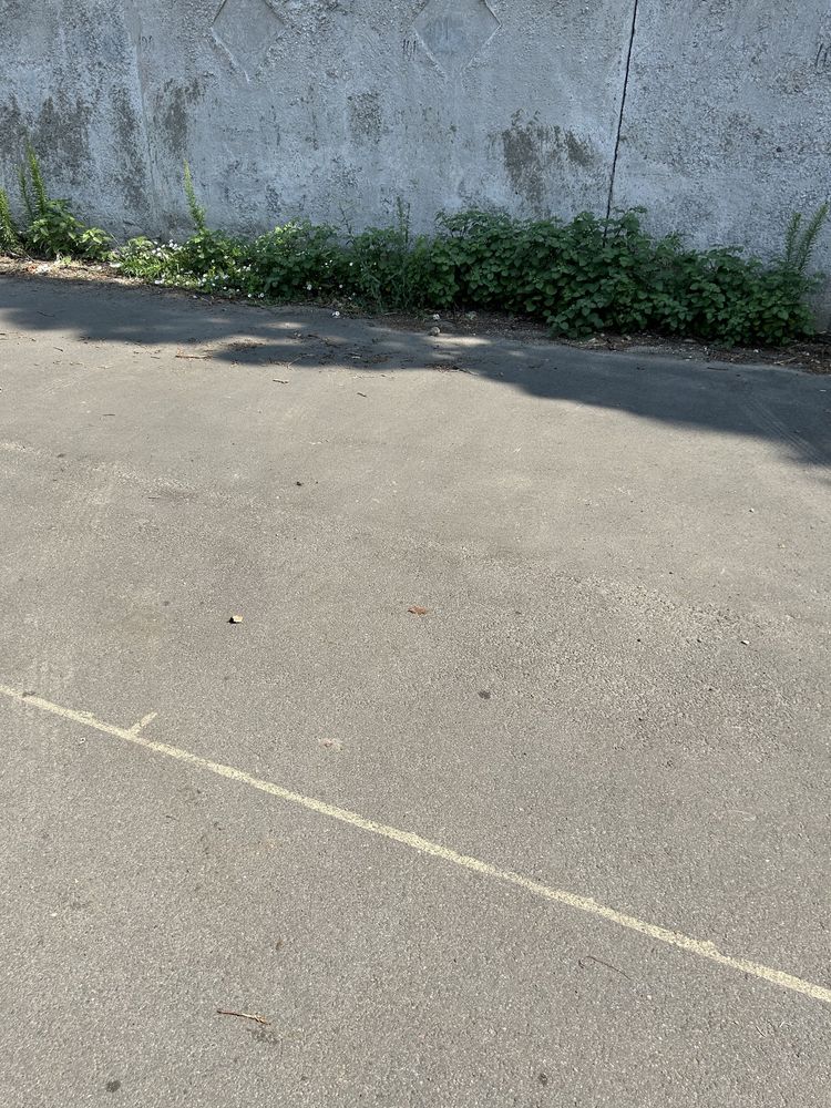 Сдам охраняемую стоянку