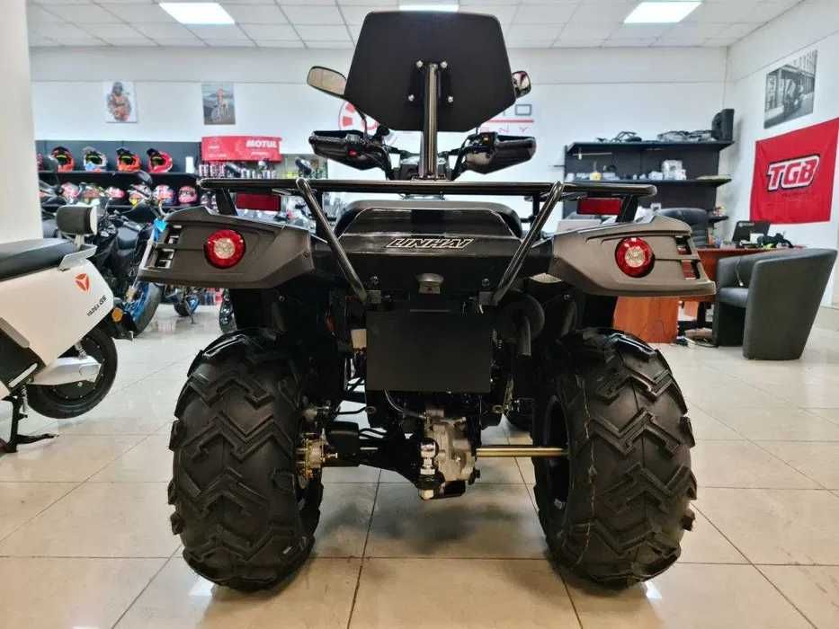 Купити квадроцикл Linhai LH300ATV-D Promax карбюратор в Арт Мото Суми