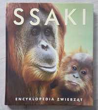 Ssaki - Encyklopedia zwierząt