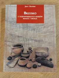 Jerzy Okoński Brzesko z najdawniejszych dziejów miasta i okolic