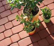 Kostka nostalit POLBRUK szary grafit czerwony 4cm 6cm