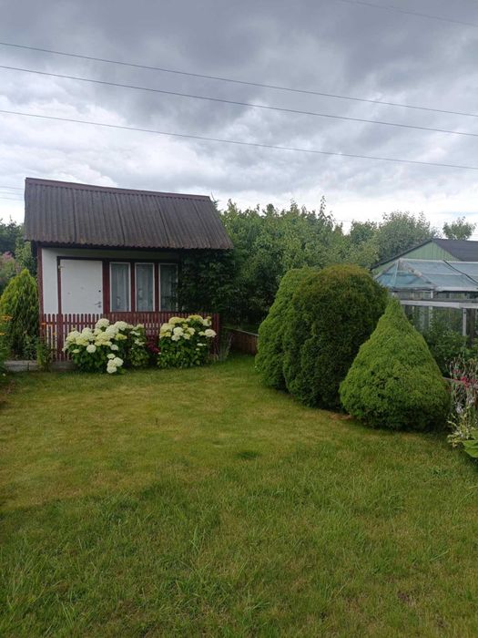 Działka rekreacyjna ROD ,,Wizun"