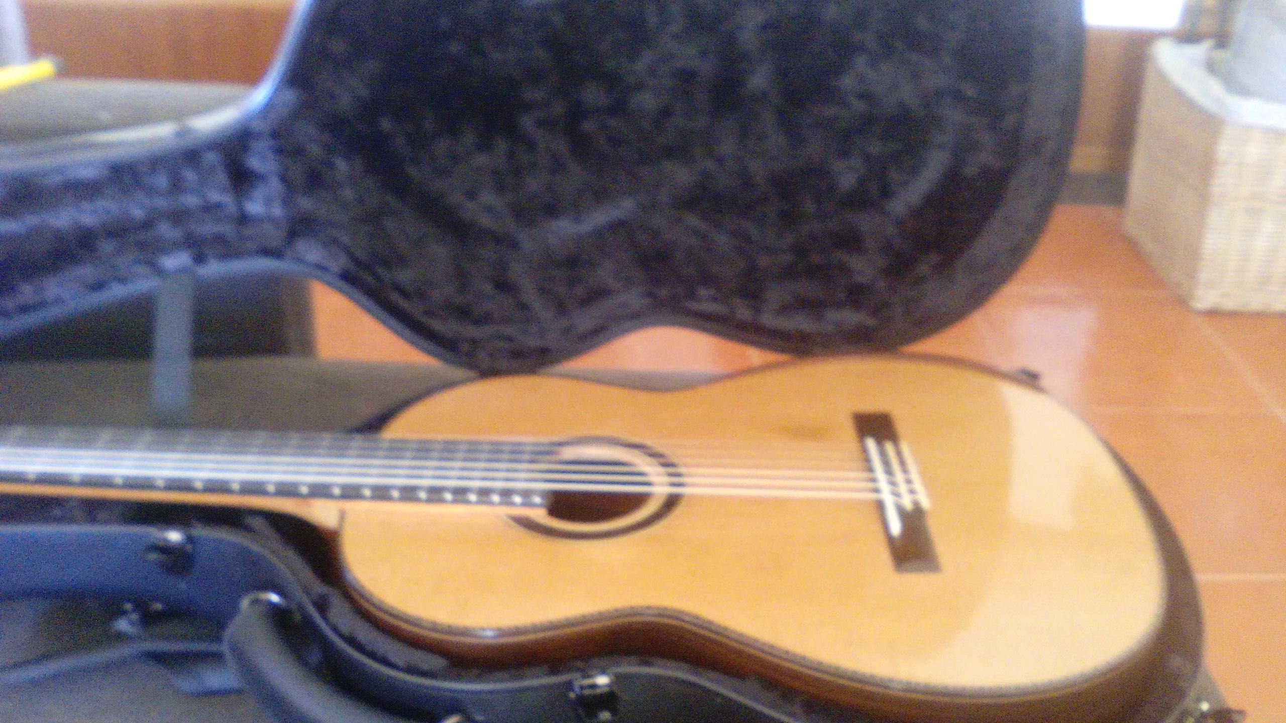 Guitarra de luthier Giannis Paleodimopoulos (grécia) - ESQUERDINA