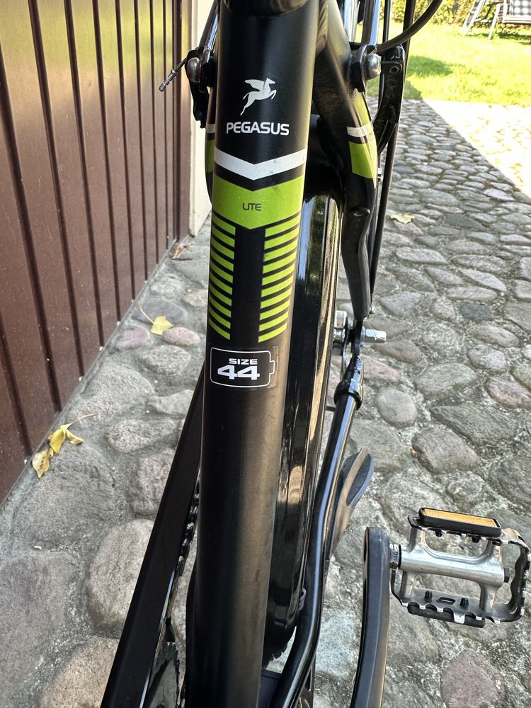 Rower Pegasus Avanti koła 26 cali