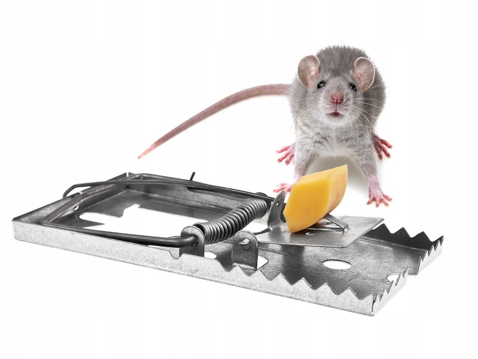 Metalowa klasyczna pułapka na szczury myszy 17 cm x 9 cm. Łapka. Duża