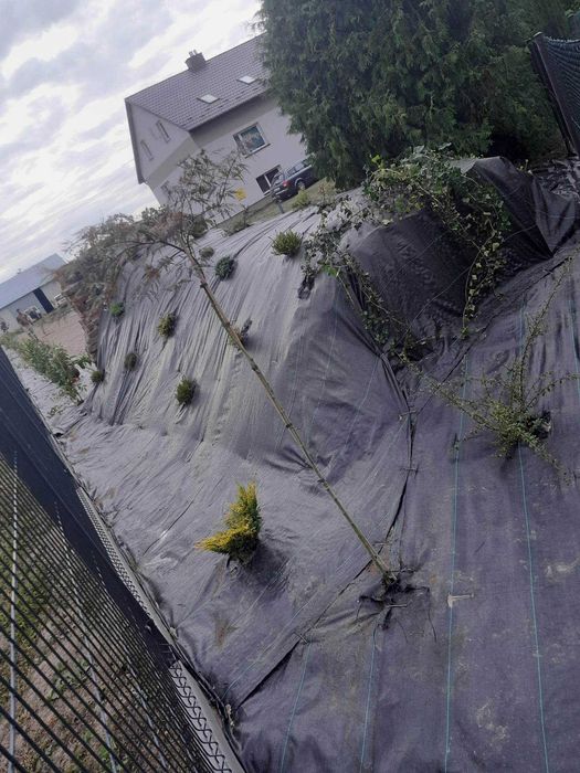 Usługi budowlane ogrodnicze, prace ziemne, wycinka drzew/krzaków rębak