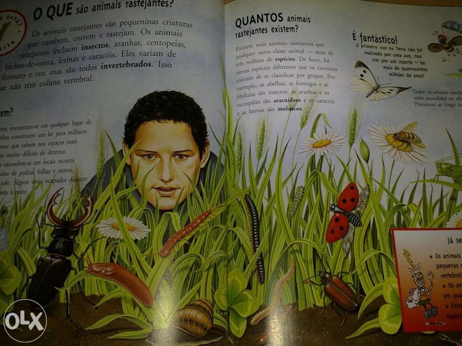 Coleção Vamos Perguntar 3 volumes