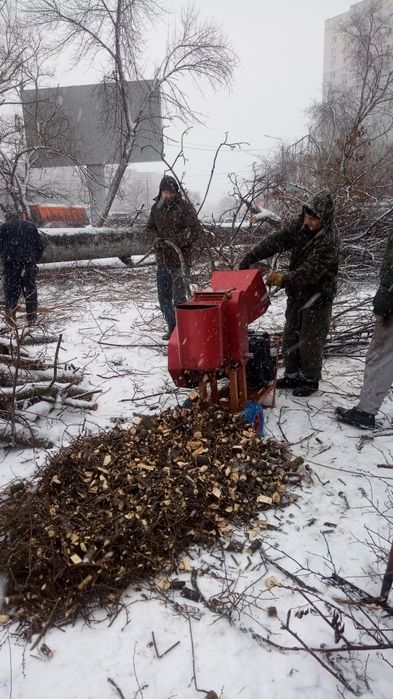 Обрезка деревьев и кустов, лечение деревьев, дробление веток.