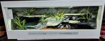 Terrarium 100x40x40 dla węża, jaszczurki Nowe