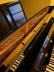 Piano Essex em excelente condição