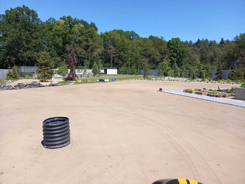 Usługi ogrodnicze -glebogryzarka separacyjna, Wertykulacja trawnika