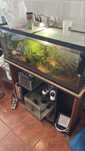 Aquario 1m com movel