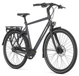Rower na pasku Gazelle Chamonix S11 Alfine 11 Męski Cloud grey mat 57