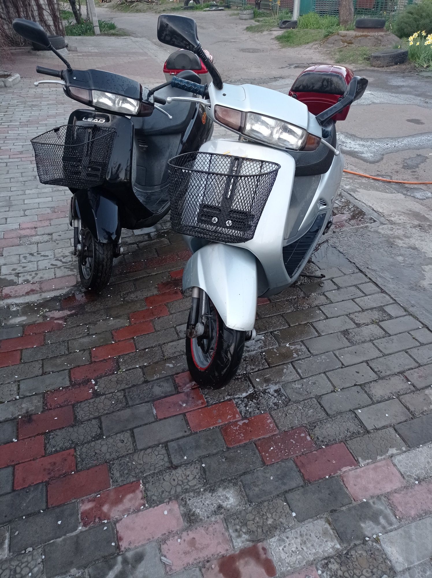 Honda Lead 50 куб