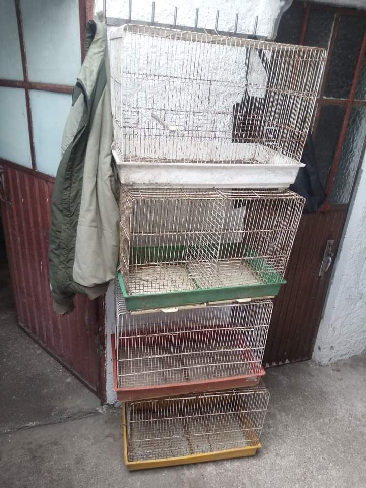 Várias Gaiolas para aves