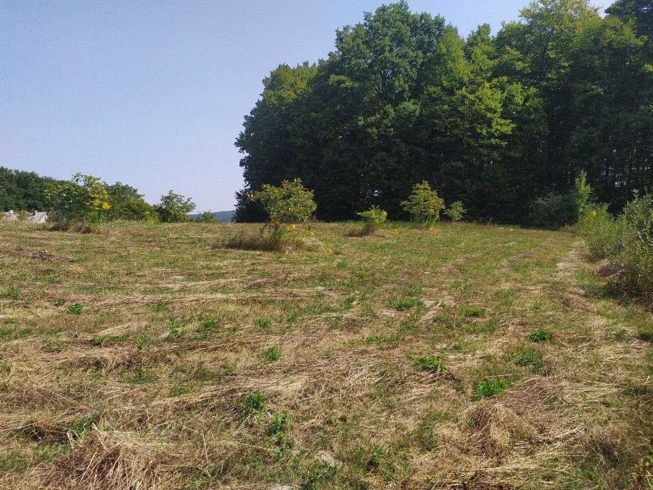 Земельна ділянка в 12 соток в с. Червона Діброва під будівництво