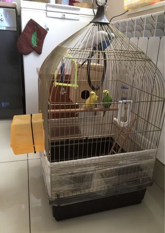 Klatka z wyposażeniem dla papug