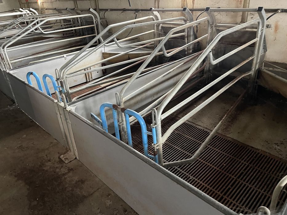 Kojec porodowy - KOJCE DLA MACIOR - komplet 650zl