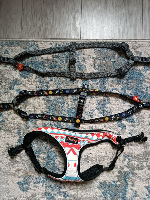 Ошейники для собак Wau Dog