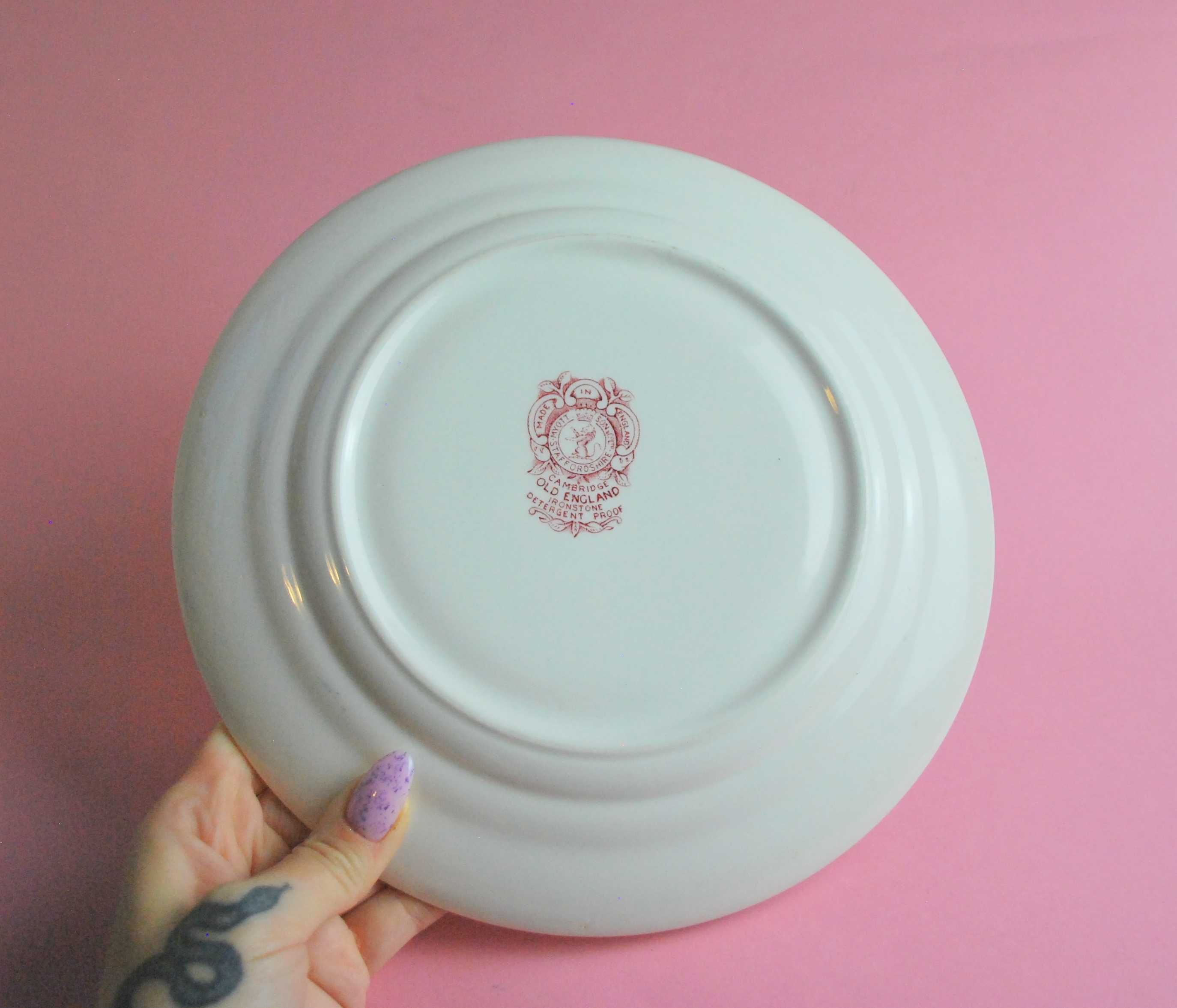 2 talerze fajans angielski retro rustykalny sielski folk