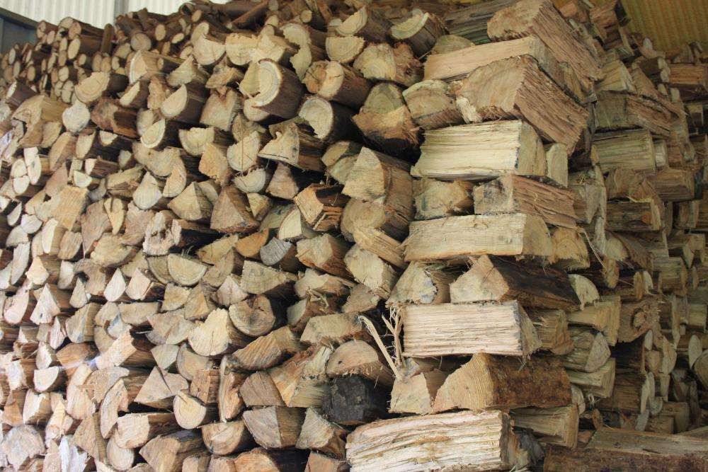Lenha Seca - Dry Wood