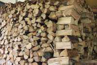 Lenha Seca - Dry Wood