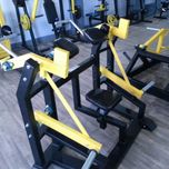 Hammer na biceps Haryzma Strength produkt POLSKI