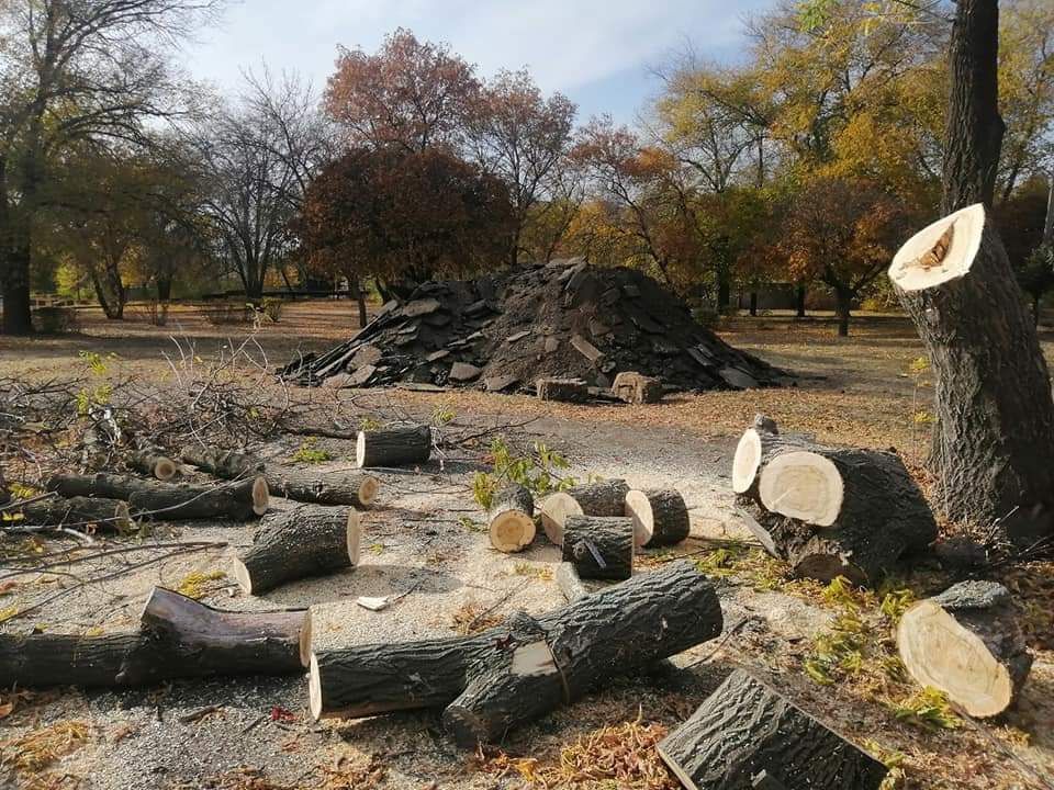 Покос травы, уборка территории под ключ, спил деревьев, корчевка пней