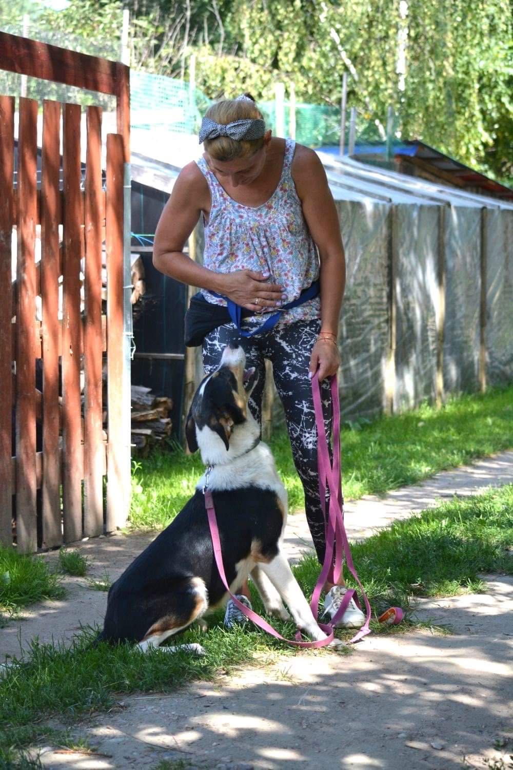 Cudowny przytulak  Lizak,prosi o dom.