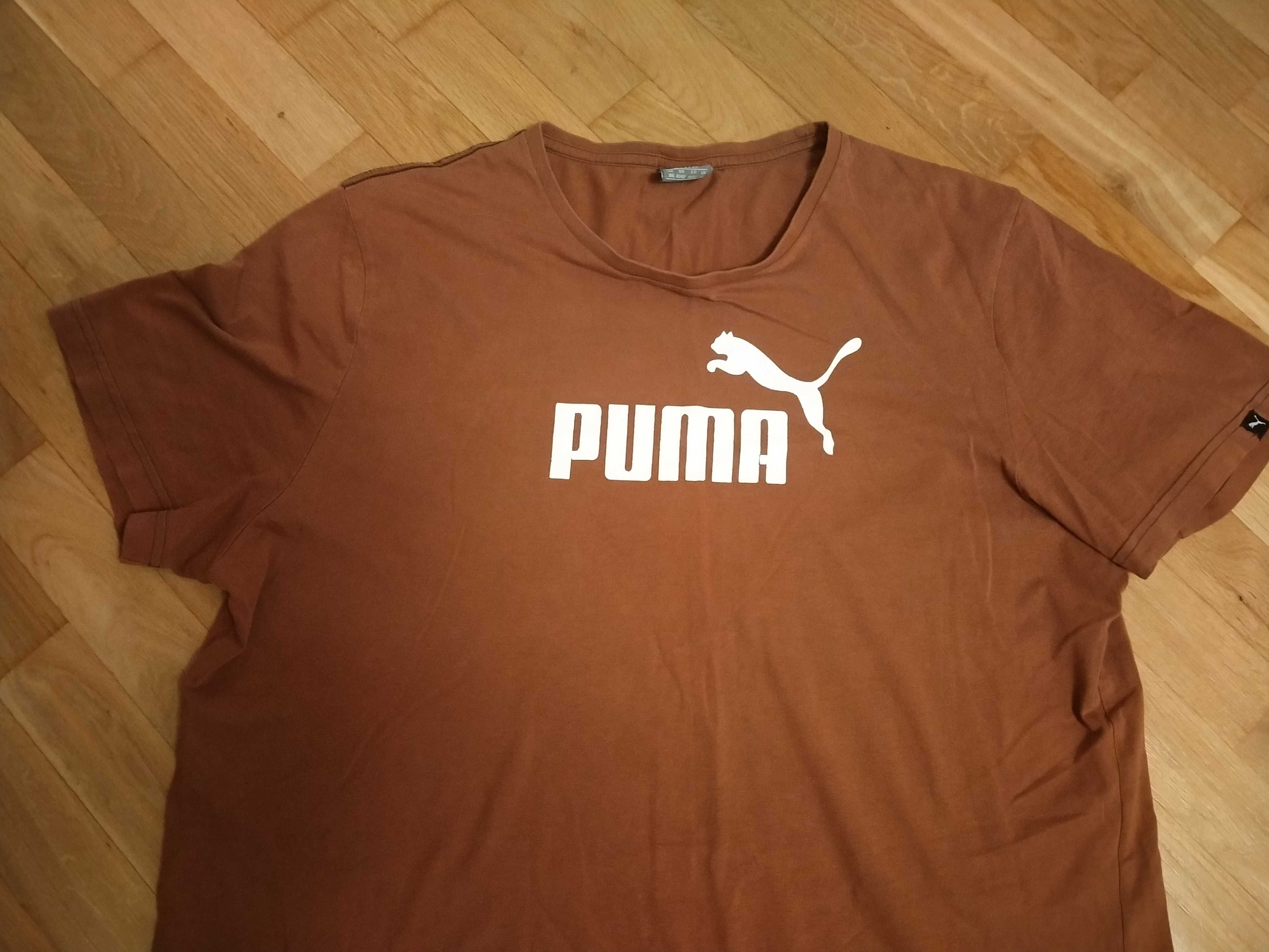 Męska koszulka, tshirt brązowy, Puma, oryginalna, Polecam