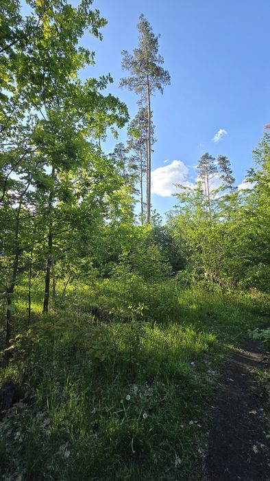 Продаж земельної ділянки 10 сот. р-н Паперова фабрика. (26158758)