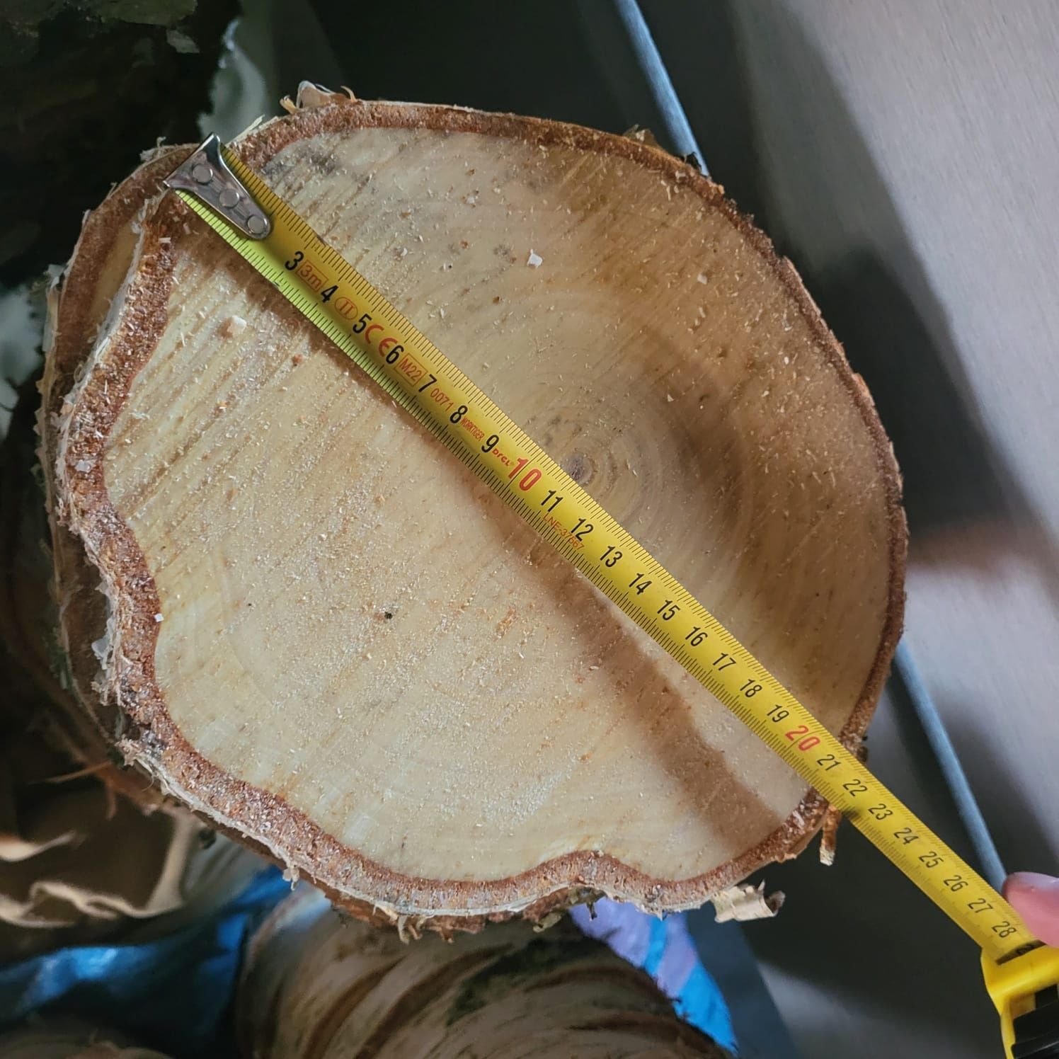 Ozdoby krążki drewna, plastry drewna brzoza od 22 do 23 cm 9 sztuk