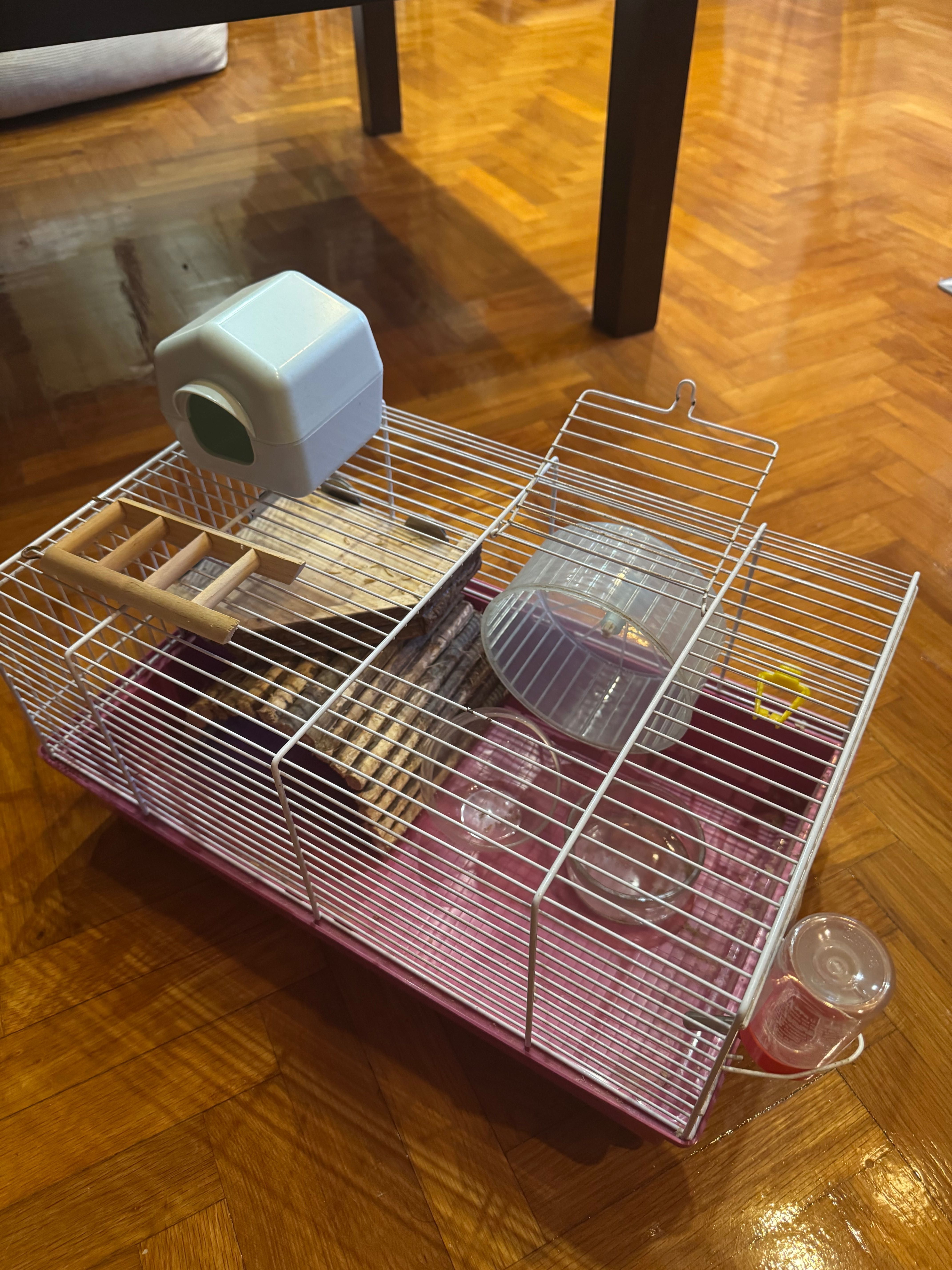 Gaiola hamster bom estado