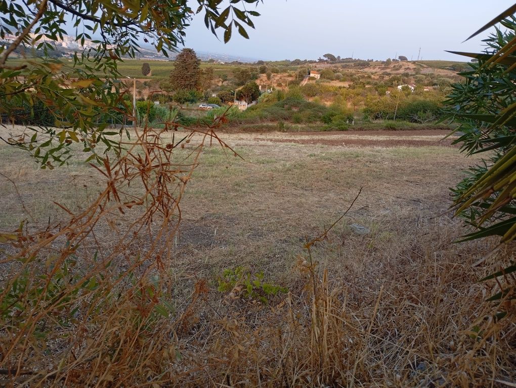 Arrendamento de terreno para Pasto- 5000 m2